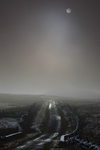 Misty mountain road     ref 4530