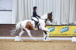 SBM_003564