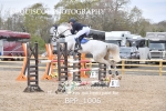BPP_1006