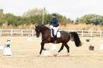 SBM_003726