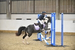 SJ3_9458