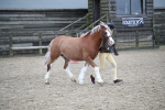 SBM_006194