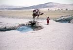 Camel Girl