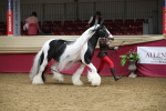 SBM_05474