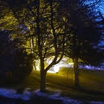 origional pic