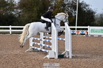 Cls 2 British Novice & 80cm Open portfolio