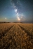 ab497 Field of dreams