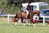 JPP_2015