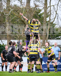 St Jacques Vikings v Andover RFC-3