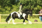 SBM_67463