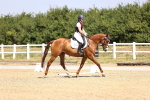 SBM_003710