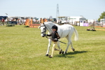 SBM_15661