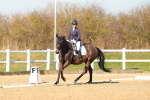 SBM_002331