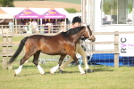 SBM_10308