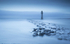_71A8519 (New Brighton)