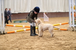 SBM_001114