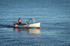 ACP_6598-2
