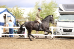 SBM_00577
