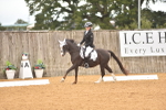SBM_03637