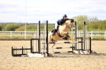 SBM_003198