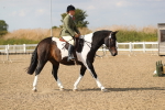 SBM_06820