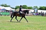 SBM_17413
