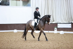 SBM_004213