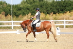 SBM_009797