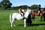 SBM_36848