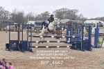 BPP_4667