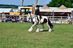SBM_09402