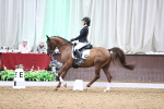 SBM_008373