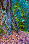 Tree - 9033