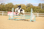 SBM_003631