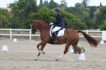 SBM_020410