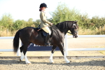 SBM_00370