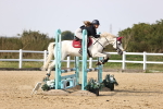 SBM_003250