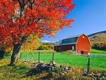 Istock #21708631