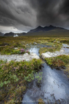Peat Bog Glen Sligachan