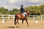SBM_006497