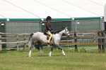 SBM_05387