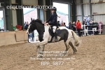 BPP_5877