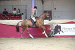 SBM_02041