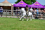 SBM_06086