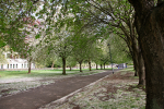 Bristol landscape_Castle Green _B0214_Ian Wade