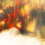 River of Light
