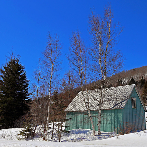 A turquoise country cabin in wintertime