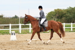 SBM_001353