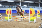 SBM_001260