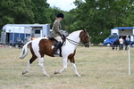 WJ7_4881